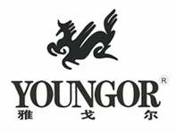 雅戈尔